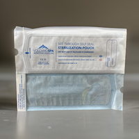 Sterilization Pouch - Case 2400pc